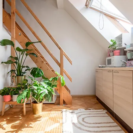 Beethoven 公寓 布拉迪斯拉发