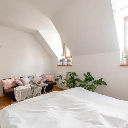 Beethoven 布拉迪斯拉发